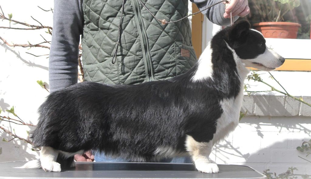 waggerland New orleans